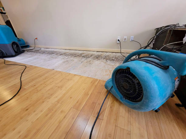 Professional Water Extraction technician working in Gig Harbor, WA